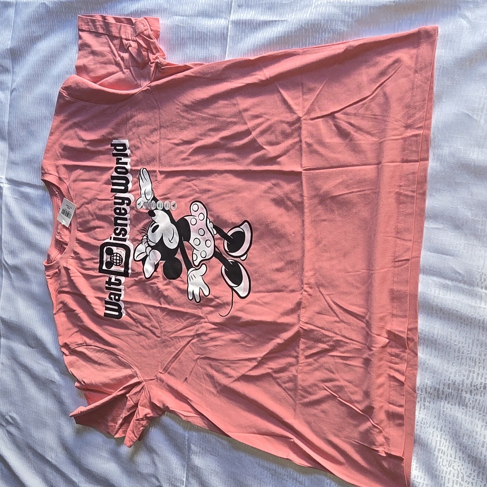 Disneyworld Resort classic tee Dusty Rose graphic